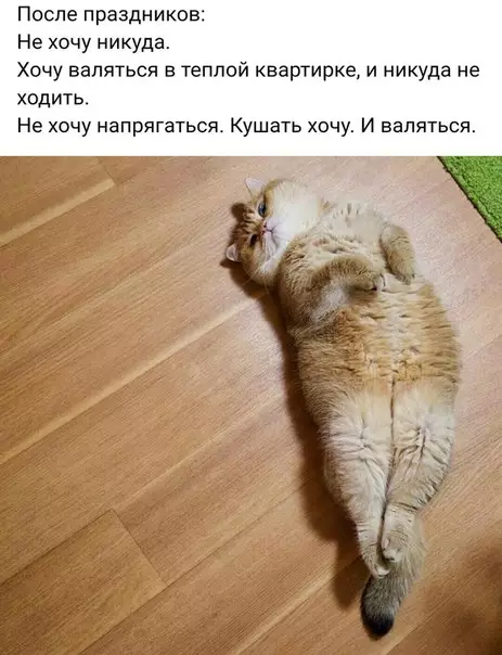 Смешная картинка №238536