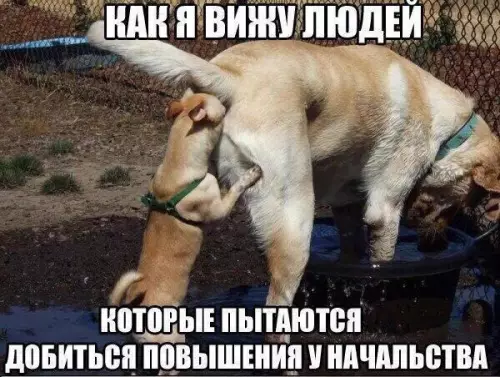 Смешная картинка №224222