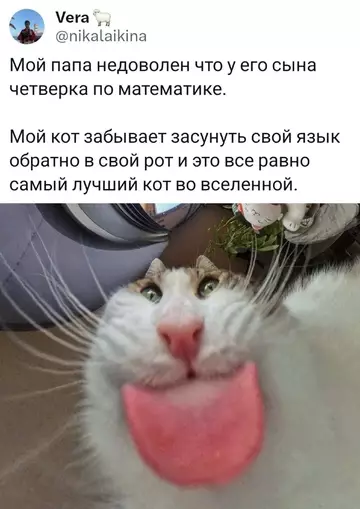 Смешная картинка №742929