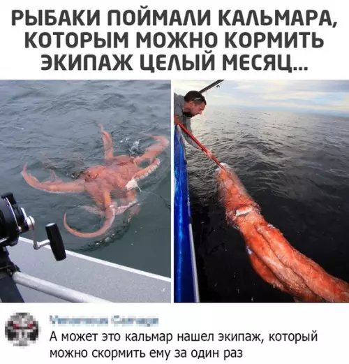 Смешная картинка №550221