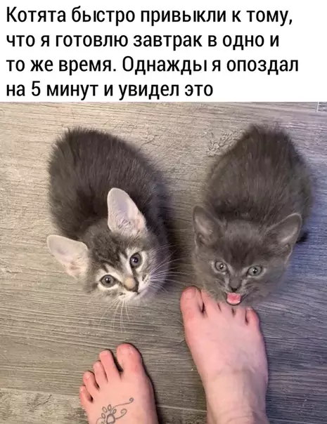 Смешная картинка №491426