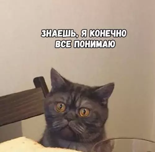 Смешная картинка №388079 В таком темпе жизни вообще не помнишь, что такое завтрак