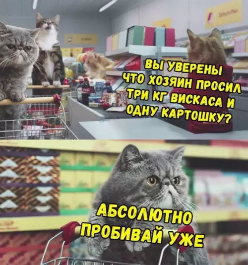 Смешная картинка №256163