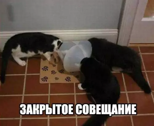 Смешная картинка №196025