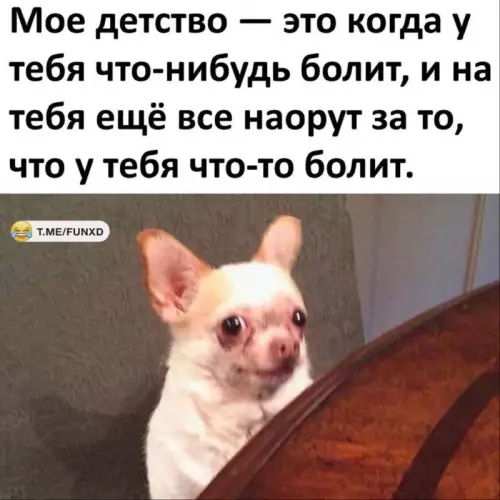 Смешная картинка №750267