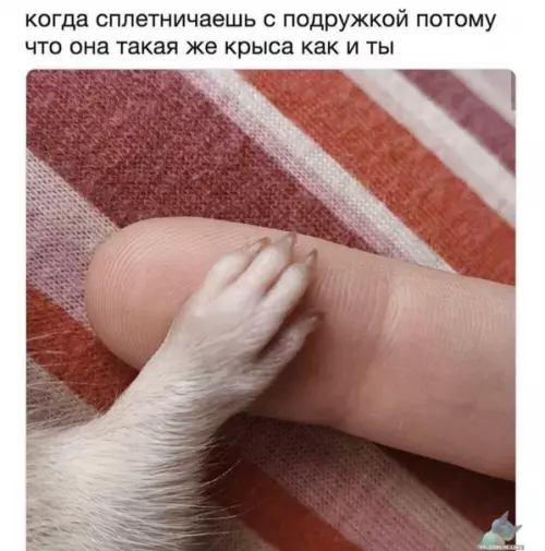 Смешная картинка №414303