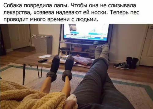 Смешная картинка №196435