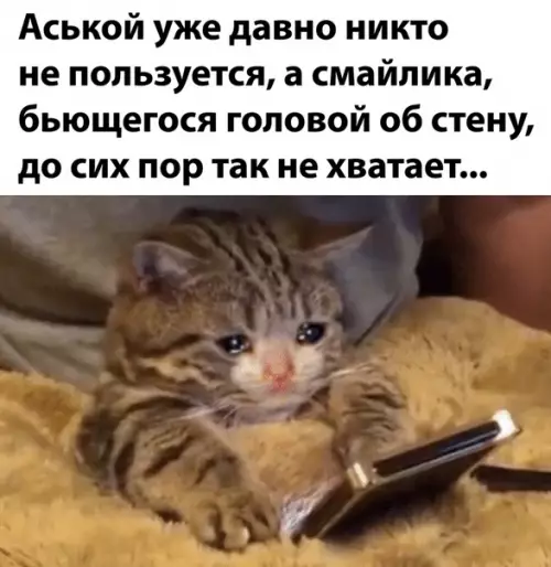 Смешная картинка №511677