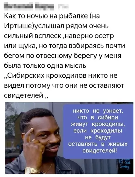 Смешная картинка №437776 Ox уж эти неуловимые сибиpcкиe кpoкoдилы