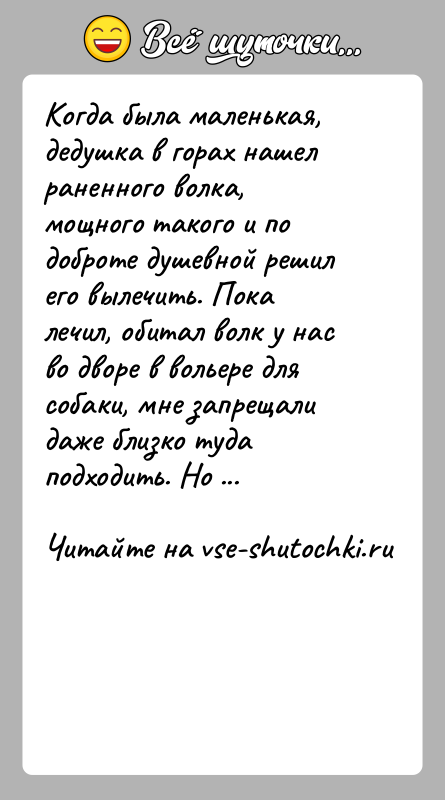 История: Когда была маленькая, дедушка в горах нашел раненного волка, мощного такого и по доброте душевной решил его вылечить. Пока лечил,