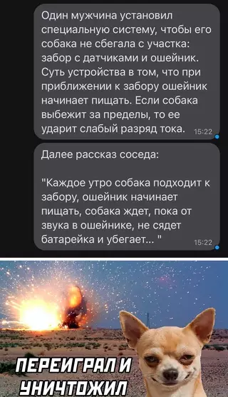 Смешная картинка №666513 Собаки