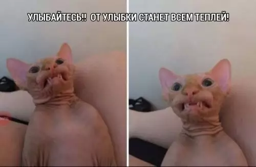 Смешная картинка №309293
