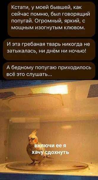 Смешная картинка №616417 Жaль бeднягy