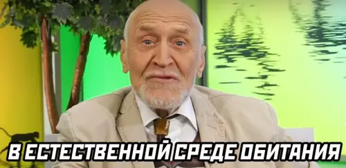 продолжение Смешная картинка №605577