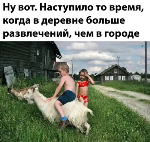 Смешная картинка №485042