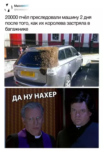 Смешная картинка №315193
