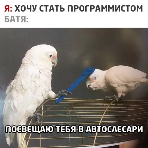 Смешная картинка №516180