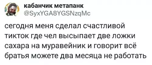 Смешная картинка №722528