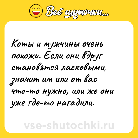 Шутка: Коты и мужчины очень похожи. Если они вдруг становятся ласковыми, значит им или от вас что-то нужно, или же они уже где-то нагадили.