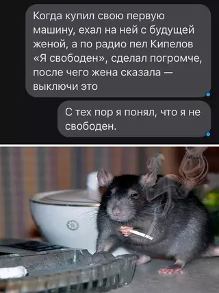 Смешная картинка №658781 жена
