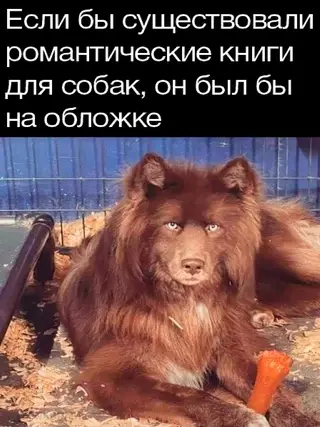 Смешная картинка №710877