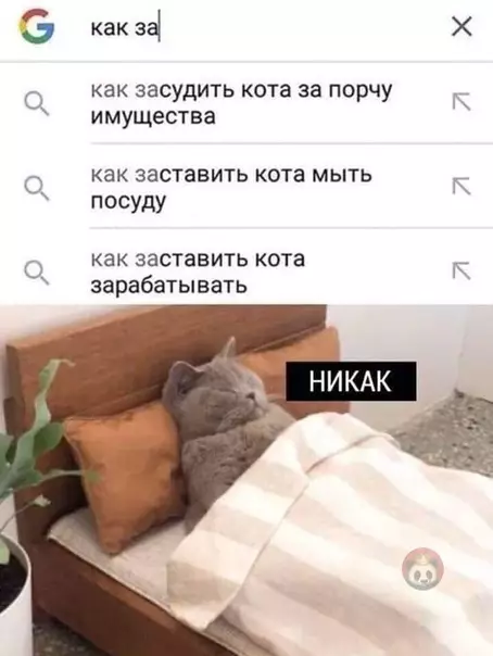 Смешная картинка №540745 Много хочешь, человечишко ?