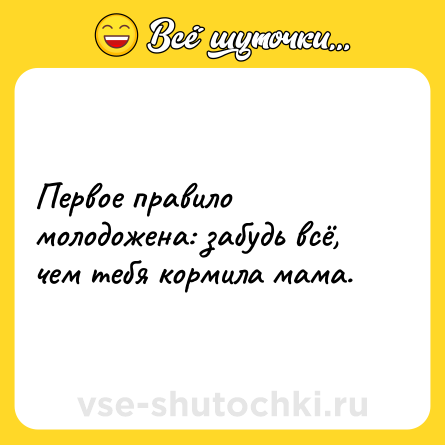 Шутка: Первое правило молодожена: забудь всё, чем тебя кормила мама.
