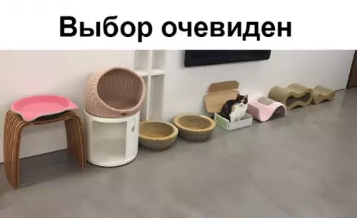 Смешная картинка №355418