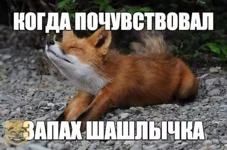 Смешная картинка №354607 #приколы #картинки #мемы ?