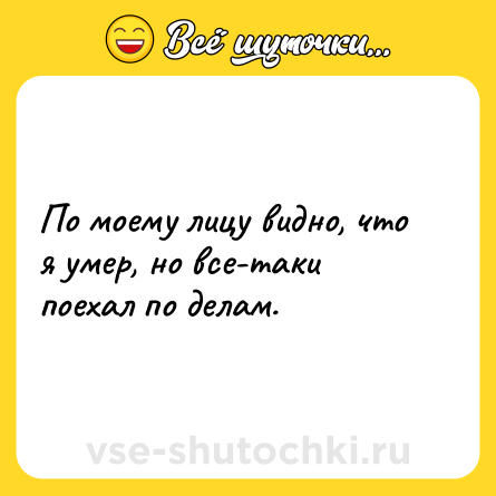 Шутка: По моему лицу видно, что я умер, но все-таки поехал по делам.