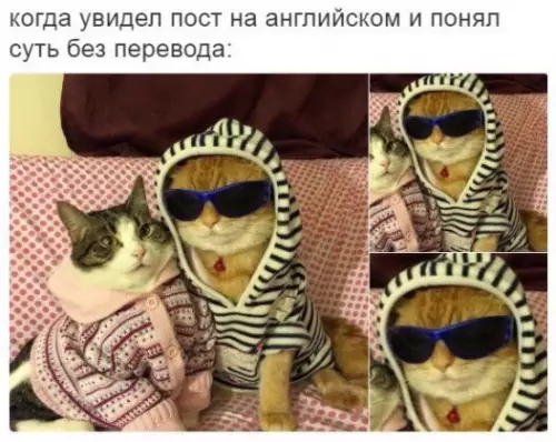 Смешная картинка №257696