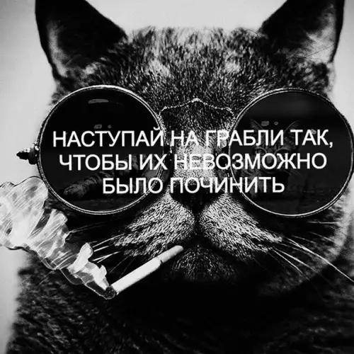Смешная картинка №225830