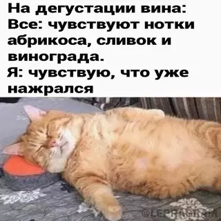 Смешная картинка №675194