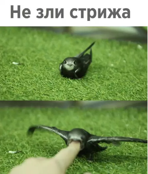 Смешная картинка №208950