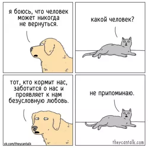 Смешная картинка №719785 Животные