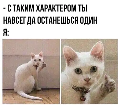 Смешная картинка №281688