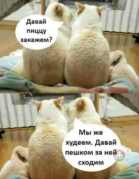 Смешная картинка №507588 Главное найти своего дурака в этом мире ?