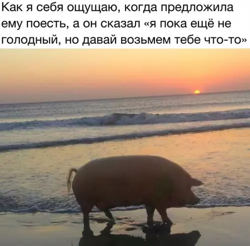 Смешная картинка №776700