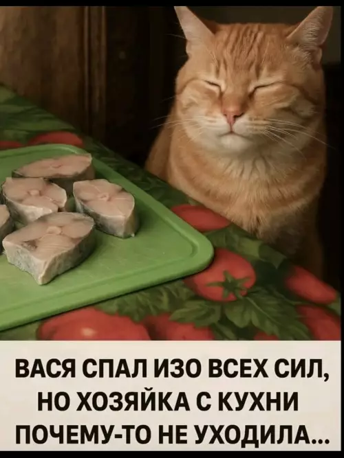 Вася знает толк в дегустации! 😼🐟 - ВАСЯ СПАЛ ИЗО ВСЕХ СИЛ, НО ХОЗЯЙКА С КУХНИ ПОЧЕМУ-ТО