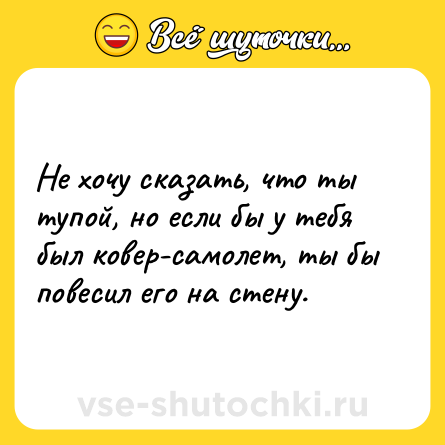 Шутка: Не хочу сказать, что ты тупой, но если бы у тебя был ковер-самолет, ты бы повесил его на стену.