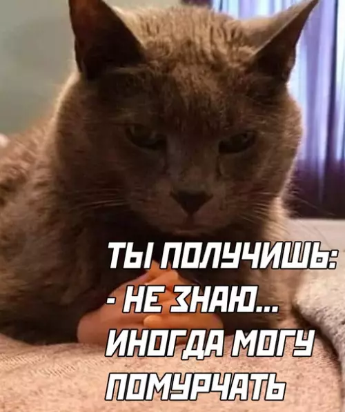 продолжение Смешная картинка №568508
