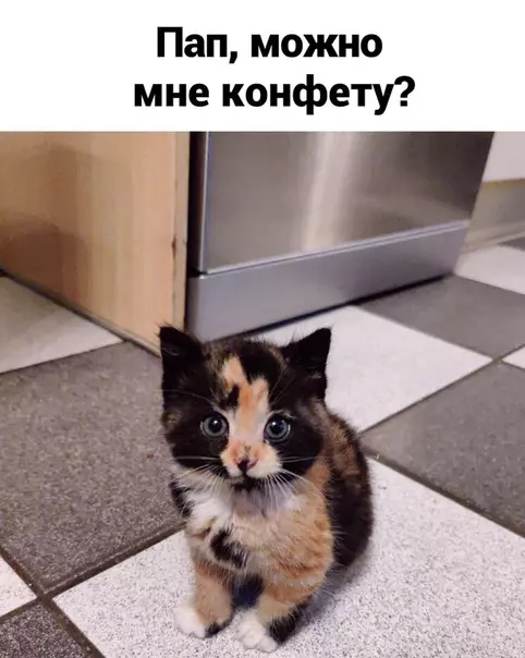 Смешная картинка №533875