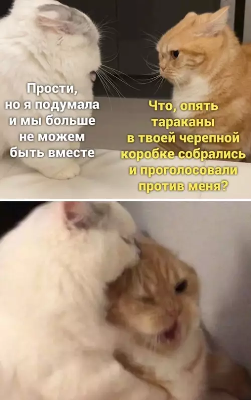 Смешная картинка №656360