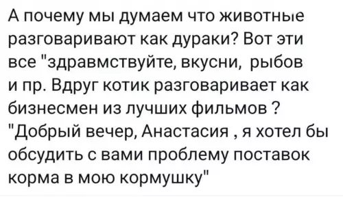 Когда кот внезапно стал серьезным боссом 😼💼 - А почему мы думаем что животные разговаривают как дураки? Вот