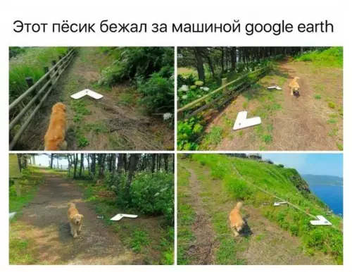 Смешная картинка №237323 )