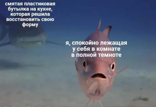 Смешная картинка №746827