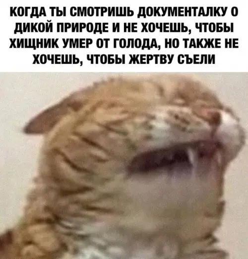 Смешная картинка №485970 Когда не можешь определится
