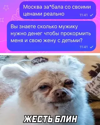 Смешная картинка №703193 жена, любовница