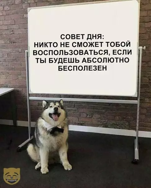 Смешная картинка №409881 #приколы #картинки #мемы ?