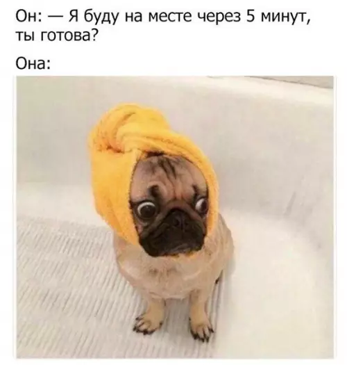 Смешная картинка №221710